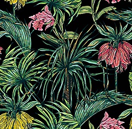 手绘时尚热带植物插画