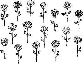 黑白手绘玫瑰花插画
