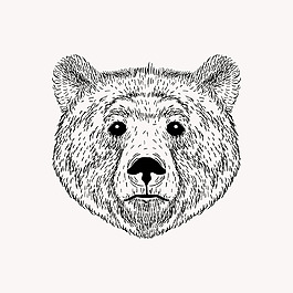 黑白熊微信头像图片