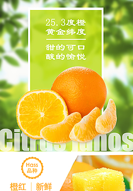 淘宝详情页水果橙子详情页
