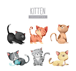 水彩猫咪画图片 水彩猫咪画素材 水彩猫咪画模板免费下载 六图网