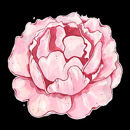 粉色渲染花卉PNG透明素材