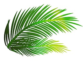 卡通绿色芭蕉叶png元素