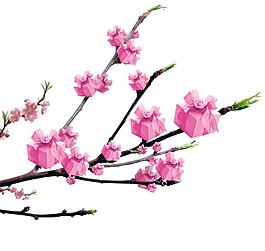 创意粉色梅花树枝礼盒png元素