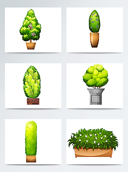 园艺盆栽植物素材