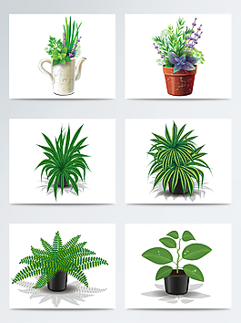 矢量卡通盆栽植物