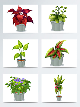 盆栽植物矢量素材