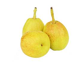 金黄色甜梨png元素