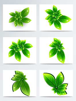惊蛰简约写实绿叶ai矢量元素