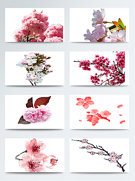 唯美日本樱花摄影图素材