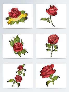 红蔷薇图片 红蔷薇素材 红蔷薇模板免费下载 六图网