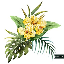 时尚水彩绘花卉插画