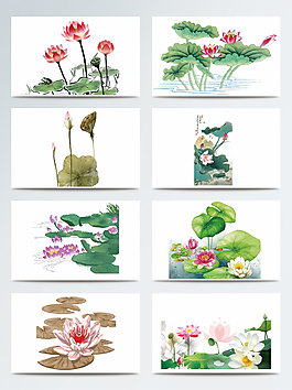 美丽荷花植物装饰元素
