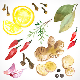 清新手绘调味品插画