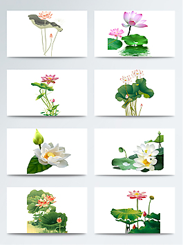 春天粉色荷花荷叶素材