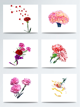 2018年母亲节康乃馨元素