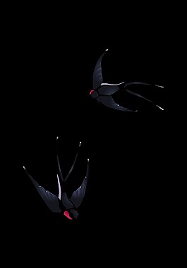 黑色质感燕子装饰素材