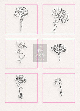 黑白手绘康乃馨线条素材