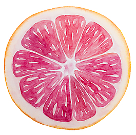 手绘葡萄柚矢量素材