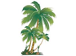 卡通椰子树png元素