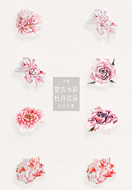 复古水彩牡丹花朵png合集