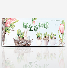 郁金香种球淘宝海报