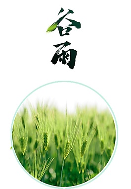 传统谷雨元素设计