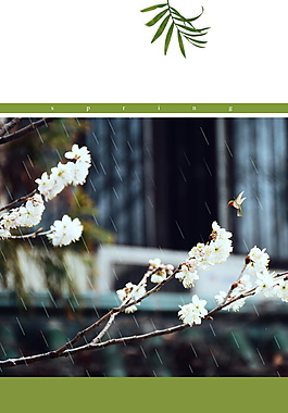 雨季花枝谷雨海报背景设计