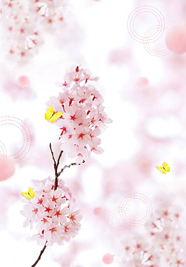 唯美粉色樱花节海报背景设计