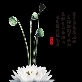 彩绘清明白莲花元素设计