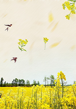 清新油菜花田海报背景设计