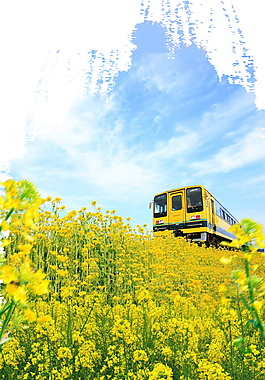 唯美清新油菜花背景设计