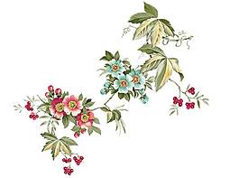 春夏鲜花盛开PNG元素