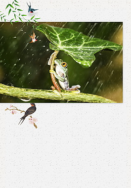 清新树叶下的青蛙立夏海报背景设计