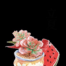 清新多肉植物立夏节日元素