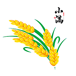 手绘二十四节气小满麦穗元素