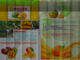 攀枝花芒果双页宣传单