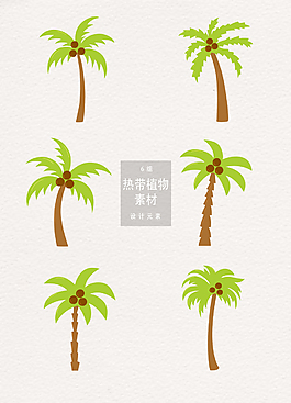 椰子树热带植物素材