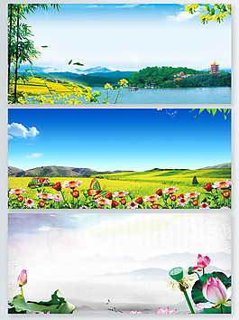夏季浪漫花卉宣传背景