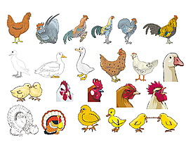 卡通动物公鸡元素