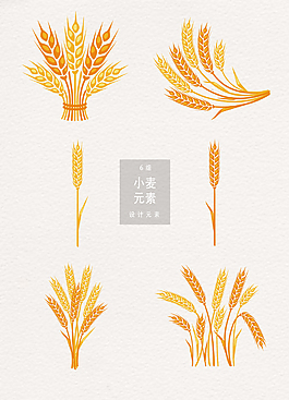 矢量手绘麦子素材