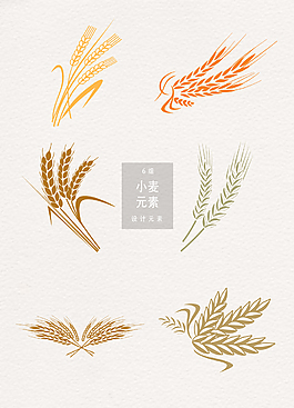 矢量手绘小麦插画