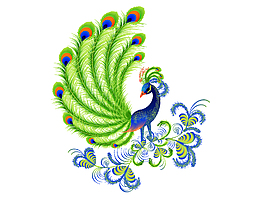 手绘卡通扁平孔雀展翅矢量元素