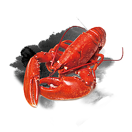 美食小龙虾元素