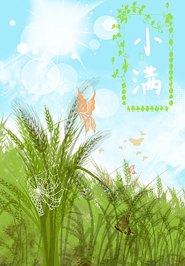 小满节气绿色麦田蜘蛛网蝴蝶海报背景设计