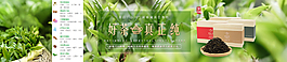 茶叶清新背景绿色淘宝海报
