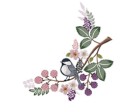 手绘站在树枝上的小鸟元素