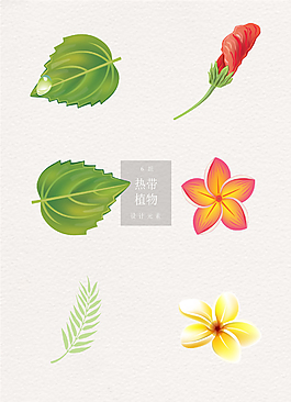 热带植物ai矢量元素清新素材