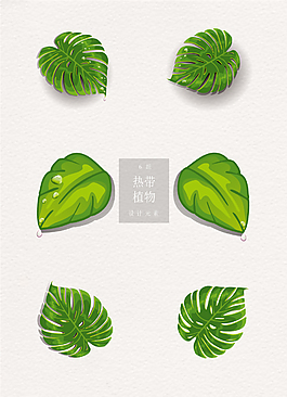 清新绿色热带植物ai矢量元素素材