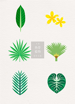 热带植物花朵ai矢量元素绿色清新